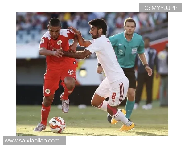 南京足球队在杯赛中的技术表现分析与点评探讨