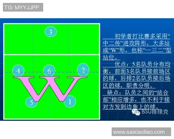 武汉排球队总决赛战术分析与表现评估的深度解读